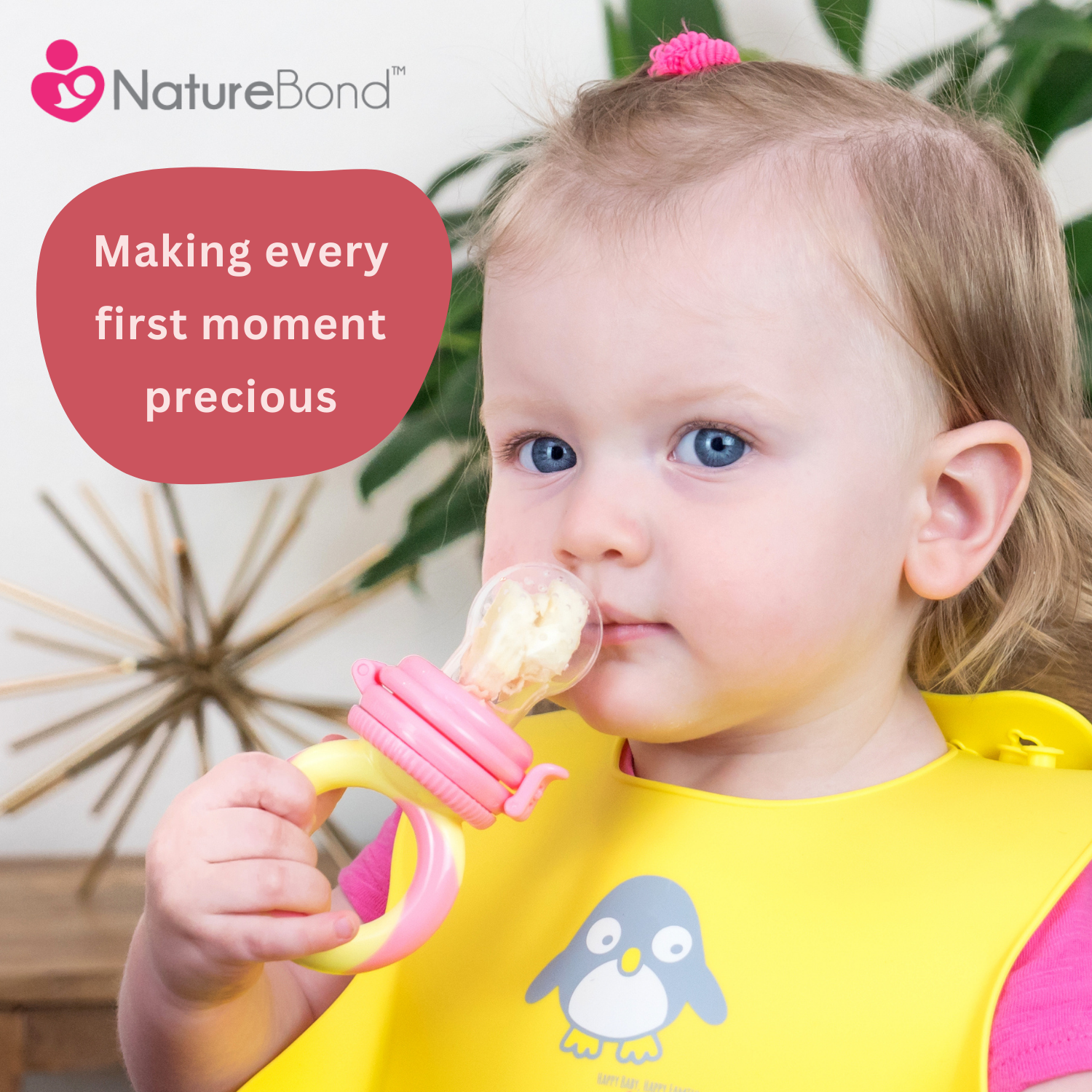 Naturebond baby fruit 2024 feeder
